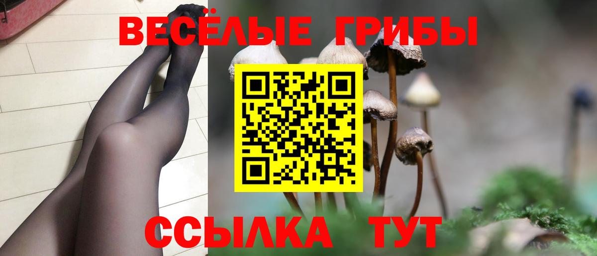 цена   Галлюциногенные грибы Psilocybine cubensis  Абакан  Вход с VPN  Галлюциногенные грибы MAGIC MUSHROOMS 